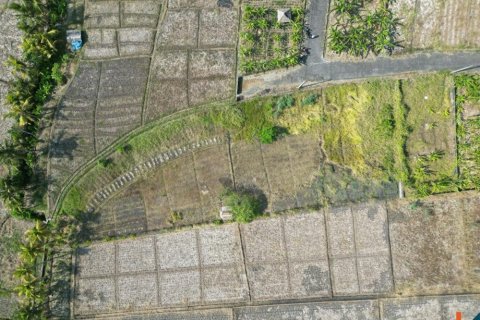 Земельный участок 1900м2 в Tabanan, Табанан, Индонезия № 11405 5