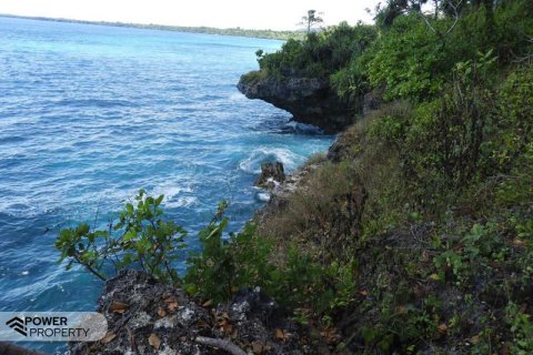 Земельный участок 20000м2 в  № 9190 2