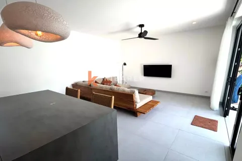 1 bedroom Villa in Canggu, Badung, Indonesia No. 11983 8
