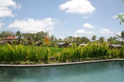 1 bedroom Villa in Ubud, Gianyar, Indonesia No. 12307 2