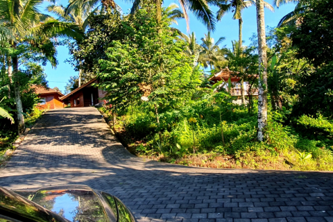 9 bedrooms Villa in Tabanan,  No. 9327 11