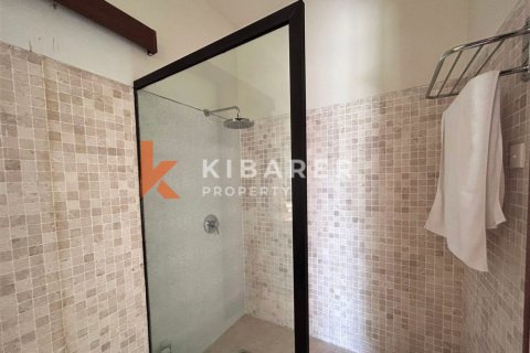 5 bedrooms Villa in Tibubeneng, Badung, Indonesia No. 12191 20