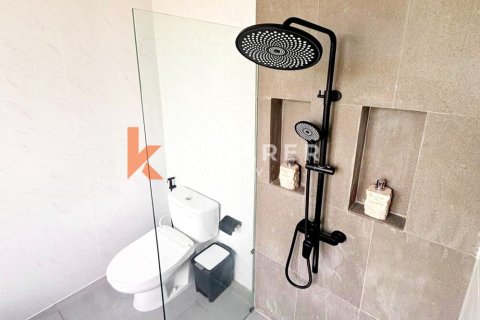3 bedrooms Villa in Kerobokan, Badung, Indonesia No. 12106 11