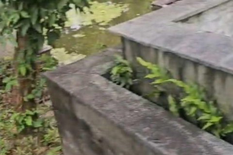 Земельный участок 740м2 в Tampaksiring, Гианьяр, Индонезия № 13565 10