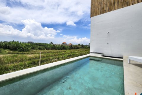 2 bedrooms Villa in Tumbak Bayuh, Mengwi, Badung, Indonesia No. 11325