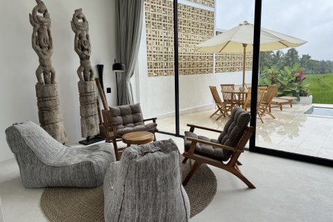 134m2 Villa in Ubud, Gianyar, Indonesia No. 13683 3