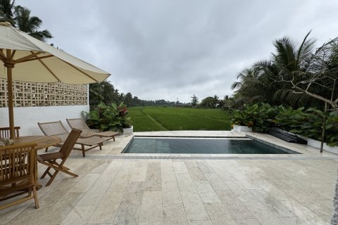 134m2 Villa in Ubud, Gianyar, Indonesia No. 13683 15