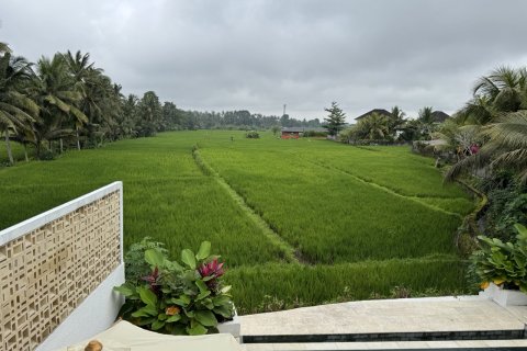 134m2 Villa in Ubud, Gianyar, Indonesia No. 13683 16