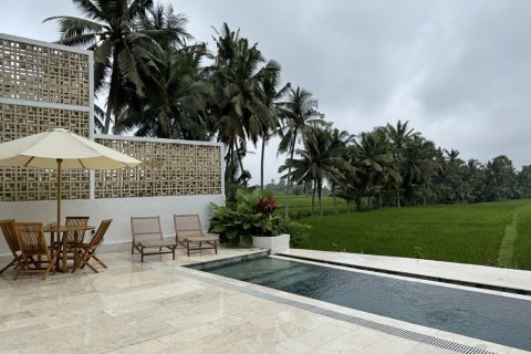 134m2 Villa in Ubud, Gianyar, Indonesia No. 13683 2