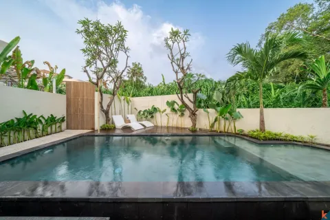 Вилла с 1 спальней в Canggu, Бадунг, Индонезия № 11036 24