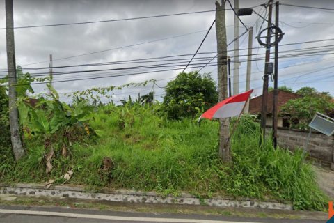 Земельный участок в Gianyar, Гианьяр, Индонезия № 11439 2