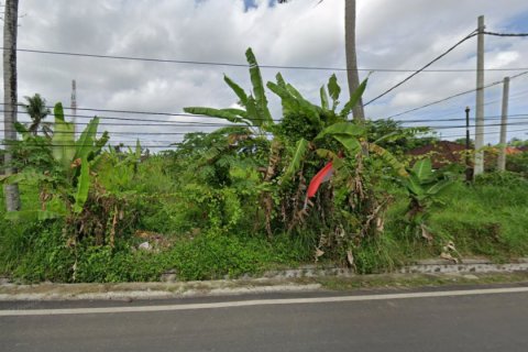 Земельный участок в Gianyar, Гианьяр, Индонезия № 11439