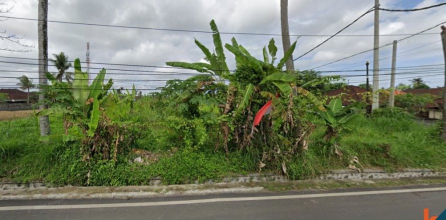 Земельный участок в Gianyar, Гианьяр, Индонезия № 11439