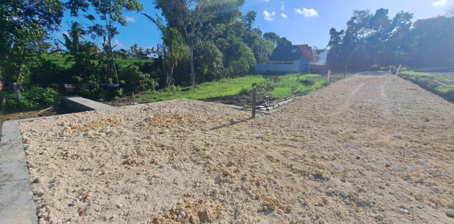 Land in Tabanan, Indonesia No. 11487