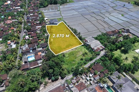 Land in Kaba-Kaba, Kediri, Tabanan, Indonesia No. 13703 2
