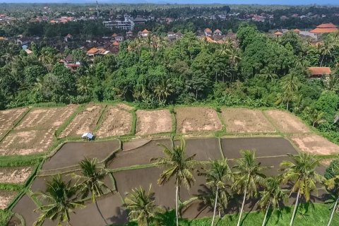 4500m2 Land in Ubud, Gianyar, Indonesia No. 13704 3