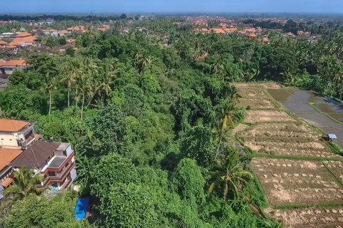 4500m2 Land in Ubud, Gianyar, Indonesia No. 13704 2
