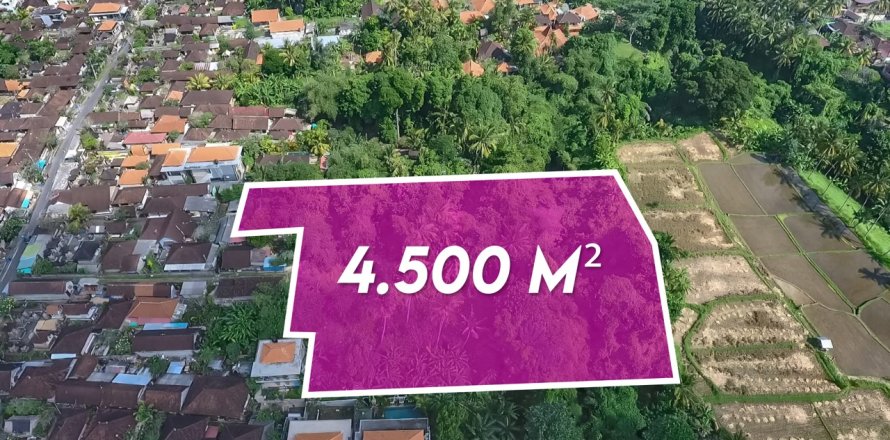 4500m2 Land in Ubud, Gianyar, Indonesia No. 13704