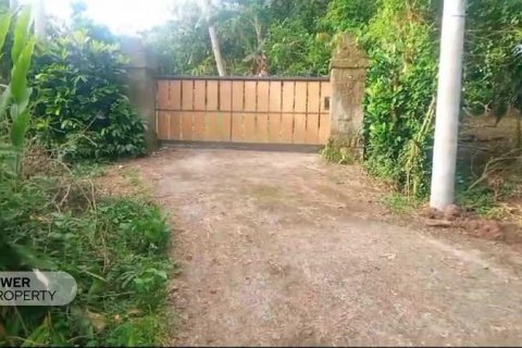 9650m2 Land in Tabanan, Indonesia No. 8847 2