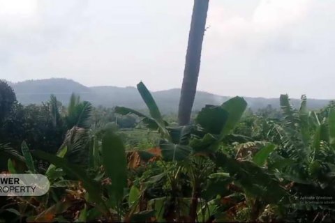9650m2 Land in Tabanan, Indonesia No. 8847 1