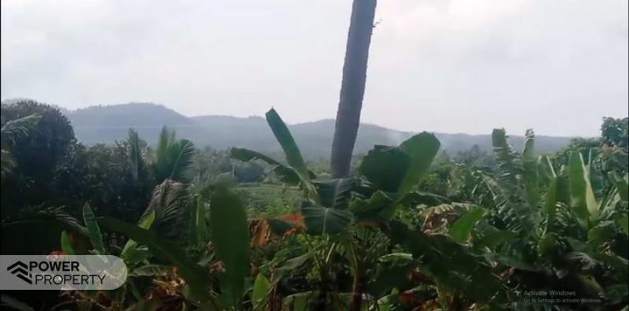 9650m2 Land in Tabanan, Indonesia No. 8847