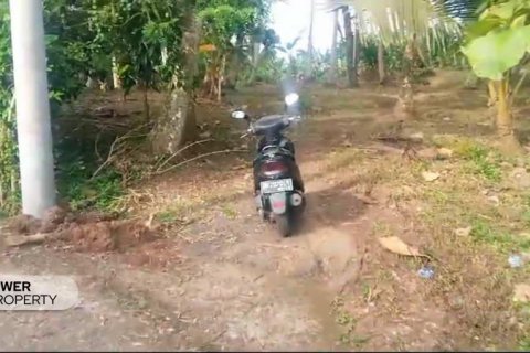9650m2 Land in Tabanan, Indonesia No. 8847 4