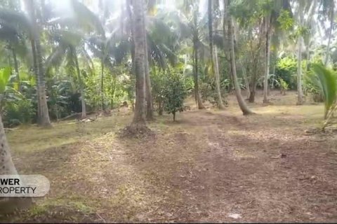 9650m2 Land in Tabanan, Indonesia No. 8847 8