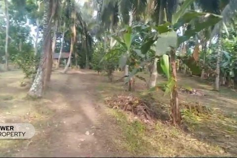 9650m2 Land in Tabanan, Indonesia No. 8847 5