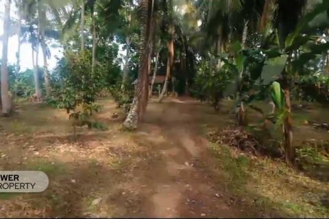 9650m2 Land in Tabanan, Indonesia No. 8847 6