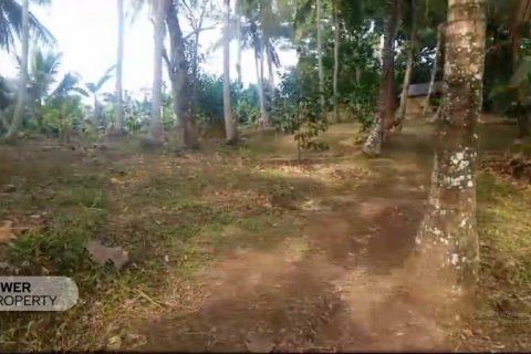 9650m2 Land in Tabanan, Indonesia No. 8847 7