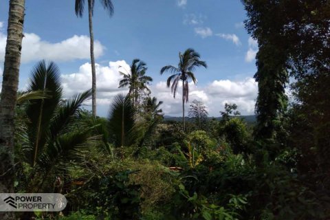 6200m2 Land in Tabanan, Indonesia No. 8848 1