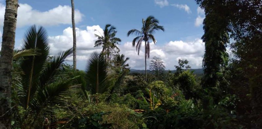 6200m2 Land in Tabanan, Indonesia No. 8848