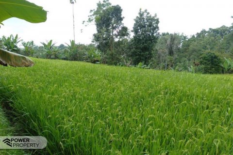 6200m2 Land in Tabanan, Indonesia No. 8848 2