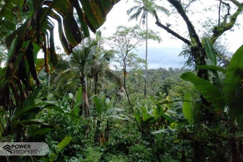 6200m2 Land in Tabanan, Indonesia No. 8848 4