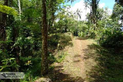 6200m2 Land in Tabanan, Indonesia No. 8848 7