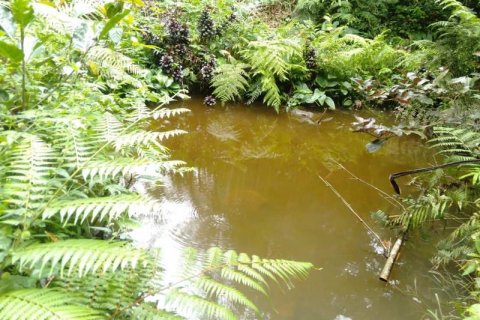 6200m2 Land in Tabanan, Indonesia No. 8848 12