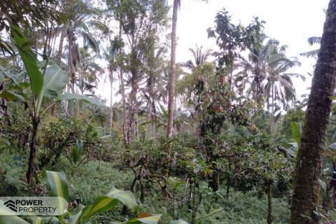 6200m2 Land in Tabanan, Indonesia No. 8848 6