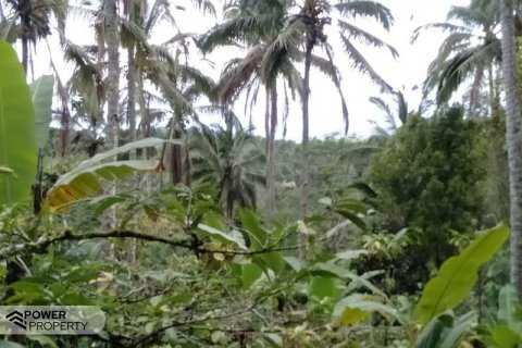 6200m2 Land in Tabanan, Indonesia No. 8848 9