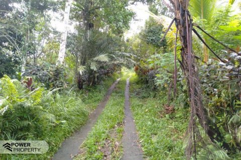 6200m2 Land in Tabanan, Indonesia No. 8848 11