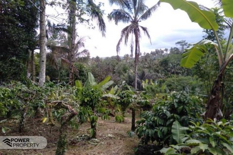 6200m2 Land in Tabanan, Indonesia No. 8848 3