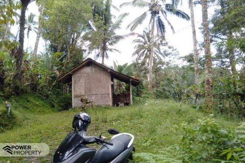 6200m2 Land in Tabanan, Indonesia No. 8848 8