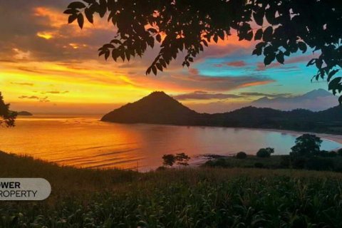10529m2 Land in West Sumbawa, Indonesia No. 8846 1