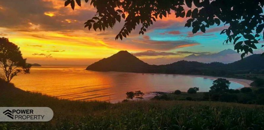 10529m2 Land in West Sumbawa, Indonesia No. 8846