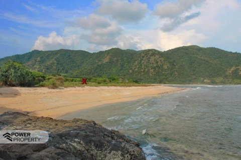 10529m2 Land in West Sumbawa, Indonesia No. 8846 6