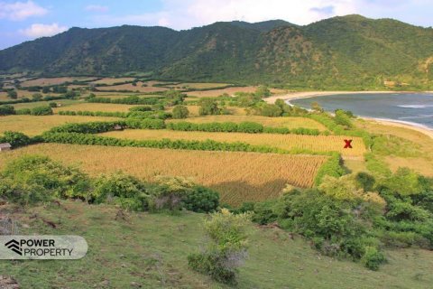 10529m2 Land in West Sumbawa, Indonesia No. 8846 3