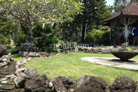 Вилла с 18 спальнями в Gianyar, Гианьяр, Индонезия № 13623