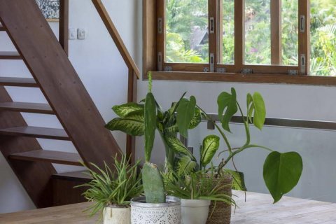 5 bedrooms Villa in Tampaksiring, Gianyar, No. 8802 19