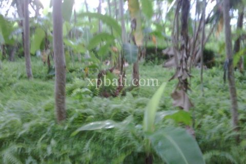 900m2 Land in Gianyar, Indonesia No. 13361 7