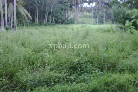 900m2 Land in Gianyar, Indonesia No. 13361 3