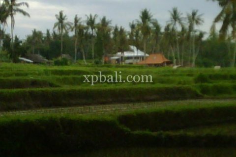 900m2 Land in Gianyar, Indonesia No. 13361 2